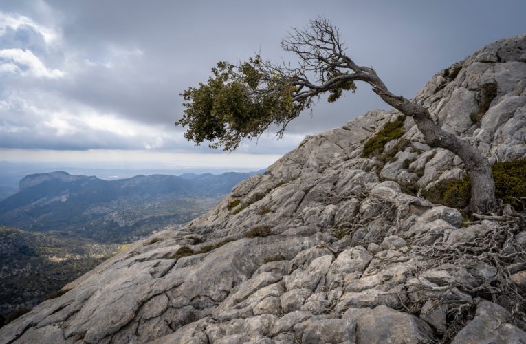 Scottsdale: The Importance of Resilience in Overcoming Trauma